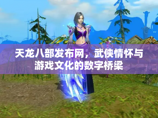 天龙八部发布网，武侠情怀与游戏文化的数字桥梁