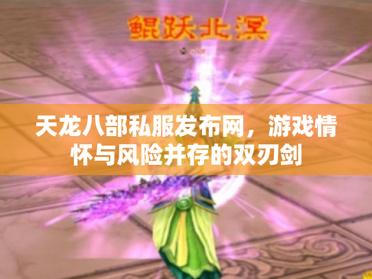 天龙八部私服发布网，游戏情怀与风险并存的双刃剑