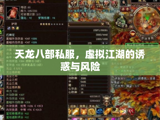 天龙八部私服，虚拟江湖的诱惑与风险