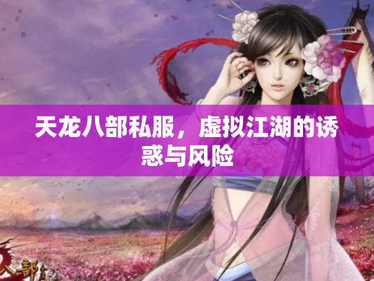 天龙八部私服，虚拟江湖的诱惑与风险