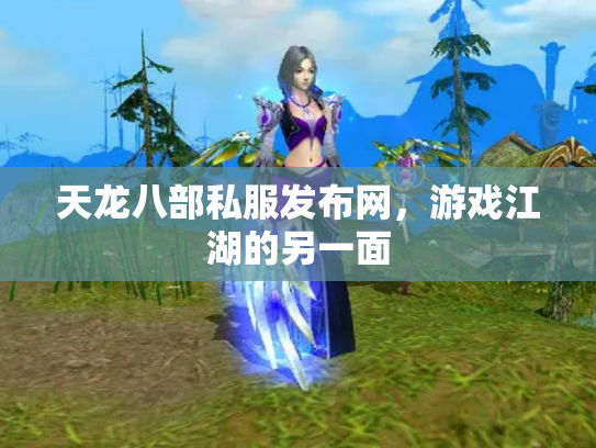 天龙八部私服发布网，游戏江湖的另一面
