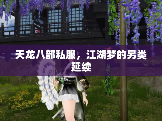 天龙八部私服，江湖梦的另类延续