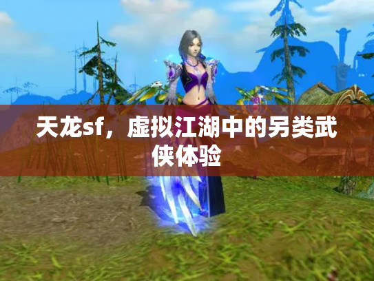 天龙sf，虚拟江湖中的另类武侠体验