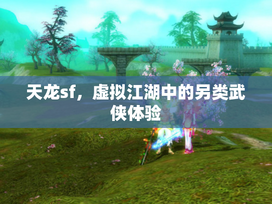 天龙sf，虚拟江湖中的另类武侠体验