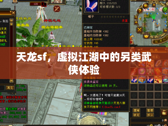 天龙sf，虚拟江湖中的另类武侠体验