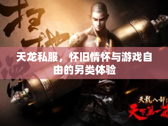 天龙私服，怀旧情怀与游戏自由的另类体验