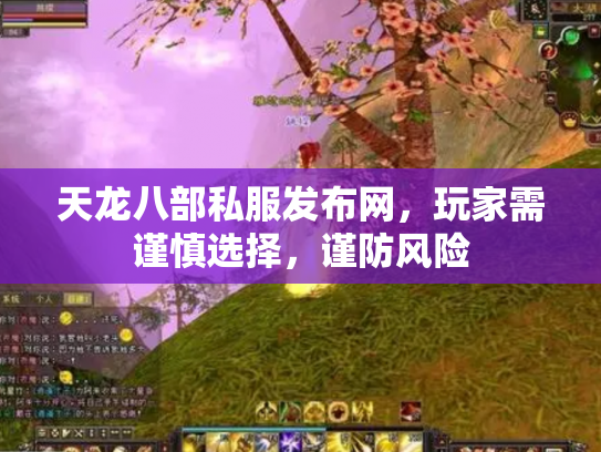 天龙八部私服发布网，玩家需谨慎选择，谨防风险