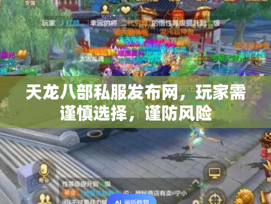 天龙八部私服发布网，玩家需谨慎选择，谨防风险