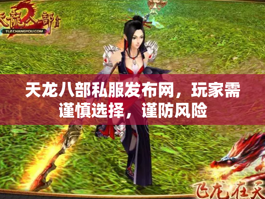 天龙八部私服发布网，玩家需谨慎选择，谨防风险