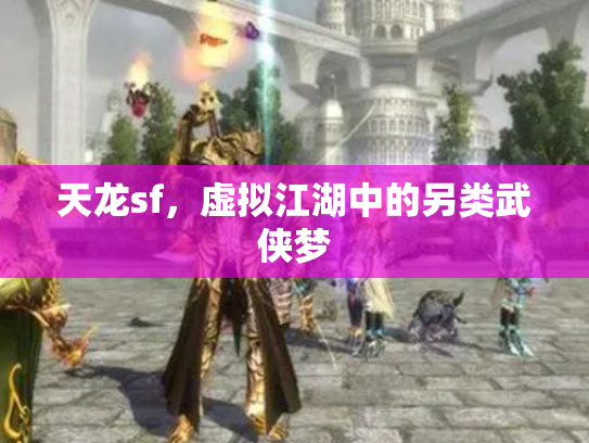 天龙sf，虚拟江湖中的另类武侠梦