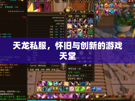 天龙私服，怀旧与创新的游戏天堂