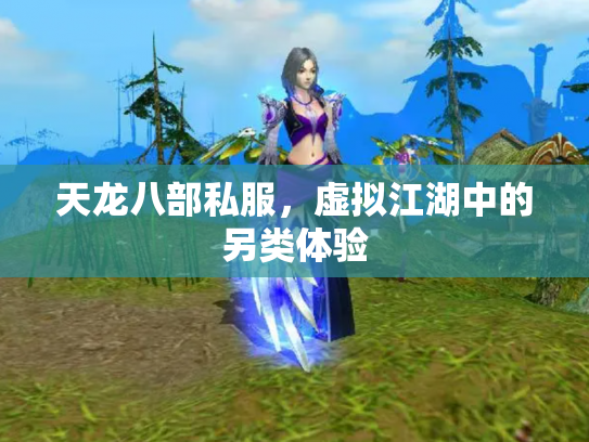 天龙八部私服，虚拟江湖中的另类体验