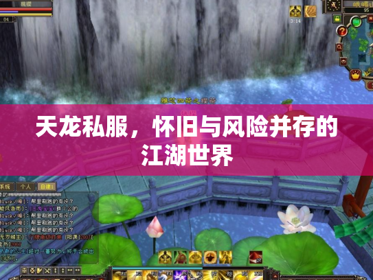 天龙私服，怀旧与风险并存的江湖世界