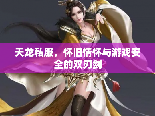 天龙私服，怀旧情怀与游戏安全的双刃剑