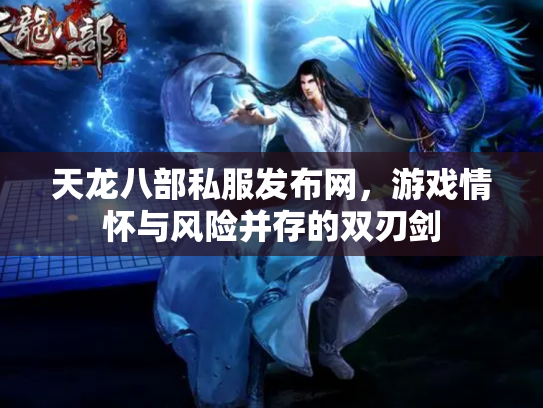 天龙八部私服发布网，游戏情怀与风险并存的双刃剑