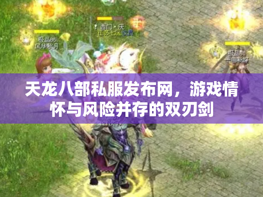 天龙八部私服发布网，游戏情怀与风险并存的双刃剑