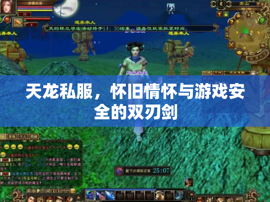 天龙私服，怀旧情怀与游戏安全的双刃剑