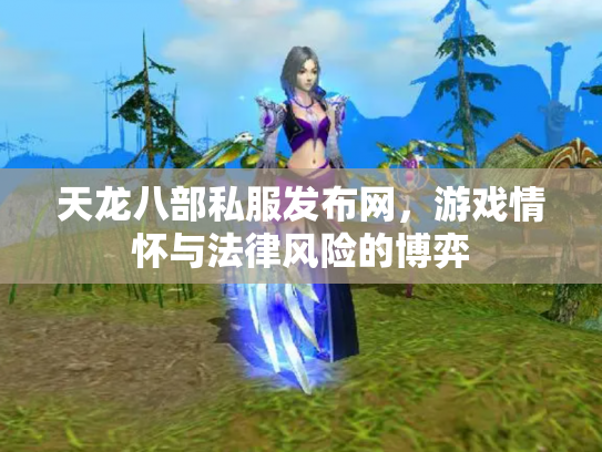 天龙八部私服发布网，游戏情怀与法律风险的博弈