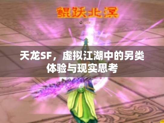 天龙SF，虚拟江湖中的另类体验与现实思考