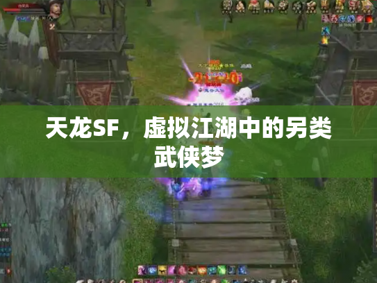 天龙SF，虚拟江湖中的另类武侠梦