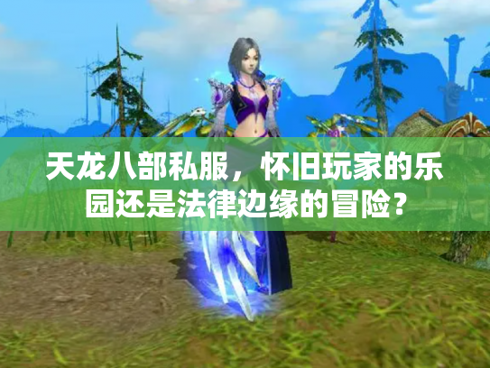 天龙八部私服，怀旧玩家的乐园还是法律边缘的冒险？
