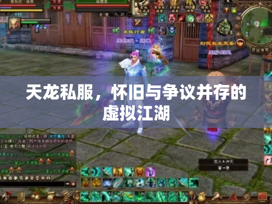 天龙私服，怀旧与争议并存的虚拟江湖