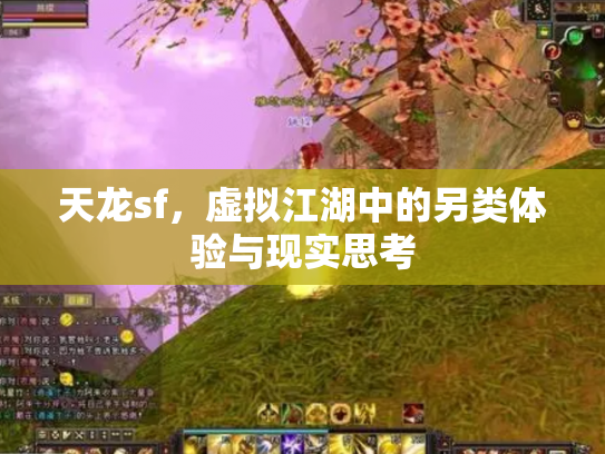天龙sf，虚拟江湖中的另类体验与现实思考