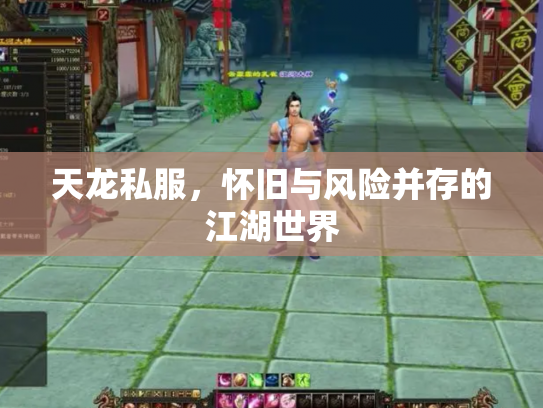 天龙私服，怀旧与风险并存的江湖世界