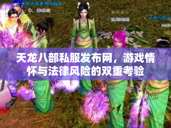 天龙八部私服发布网，游戏情怀与法律风险的双重考验