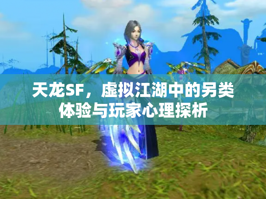 天龙SF，虚拟江湖中的另类体验与玩家心理探析