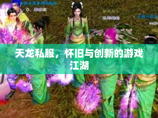 天龙私服，怀旧与创新的游戏江湖