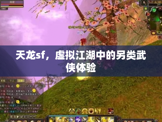 天龙sf，虚拟江湖中的另类武侠体验