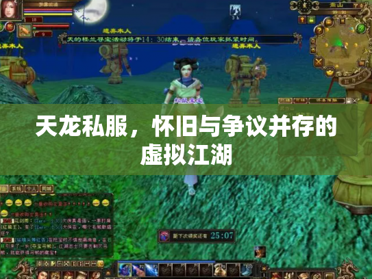 天龙私服，怀旧与争议并存的虚拟江湖