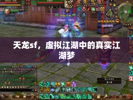 天龙sf，虚拟江湖中的真实江湖梦