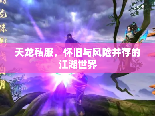 天龙私服，怀旧与风险并存的江湖世界