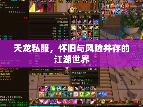 天龙私服，怀旧与风险并存的江湖世界