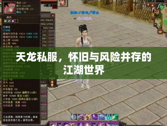 天龙私服，怀旧与风险并存的江湖世界