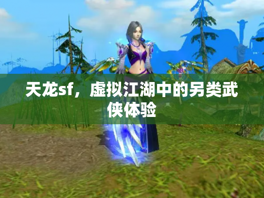 天龙sf，虚拟江湖中的另类武侠体验