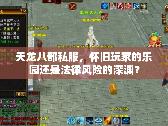 天龙八部私服，怀旧玩家的乐园还是法律风险的深渊？