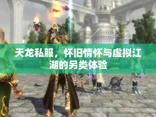 天龙私服，怀旧情怀与虚拟江湖的另类体验