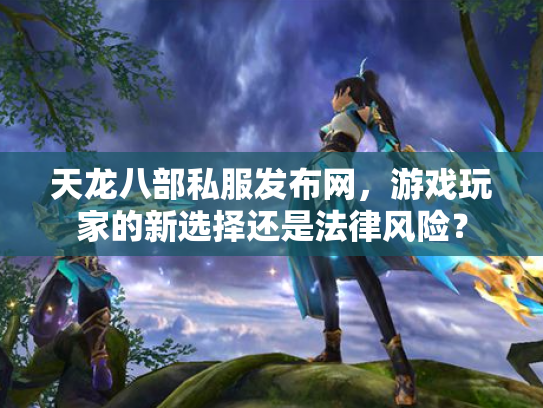 天龙八部私服发布网，游戏玩家的新选择还是法律风险？