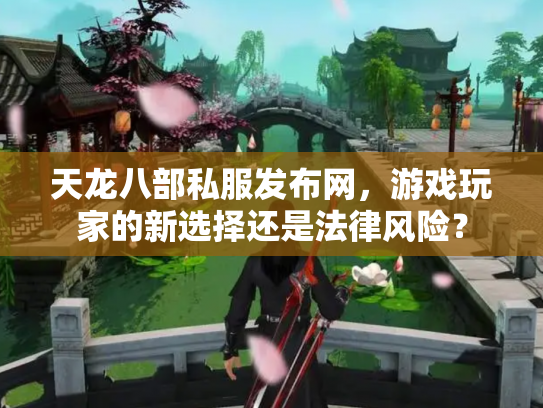 天龙八部私服发布网，游戏玩家的新选择还是法律风险？