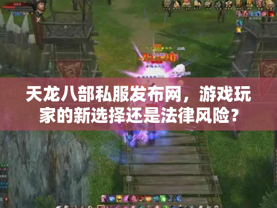 天龙八部私服发布网，游戏玩家的新选择还是法律风险？