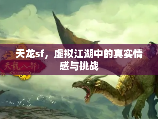 天龙sf，虚拟江湖中的真实情感与挑战
