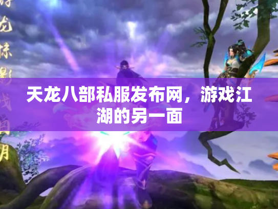 天龙八部私服发布网，游戏江湖的另一面
