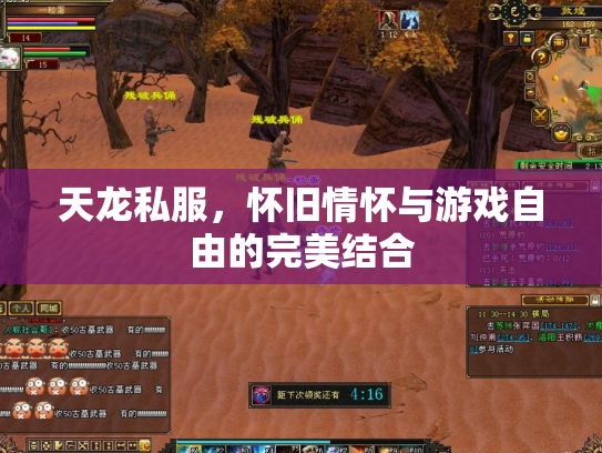 天龙私服，怀旧情怀与游戏自由的完美结合