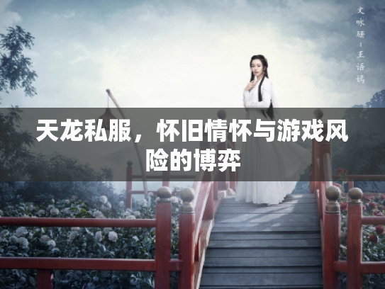 天龙私服，怀旧情怀与游戏风险的博弈