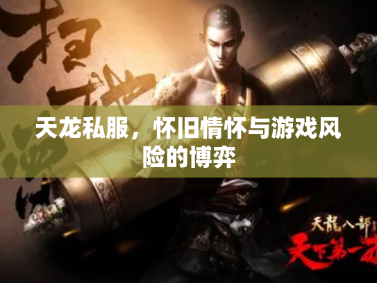 天龙私服，怀旧情怀与游戏风险的博弈