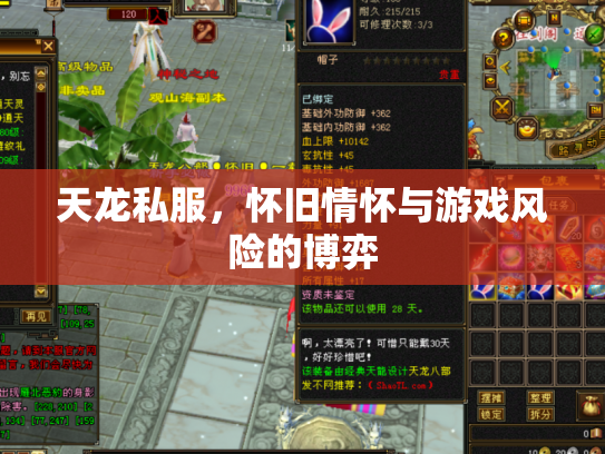 天龙私服，怀旧情怀与游戏风险的博弈