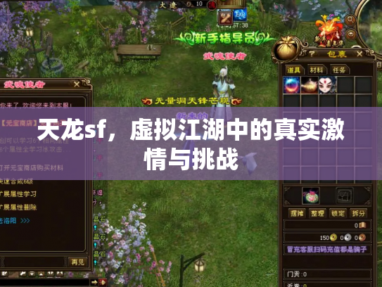天龙sf，虚拟江湖中的真实激情与挑战
